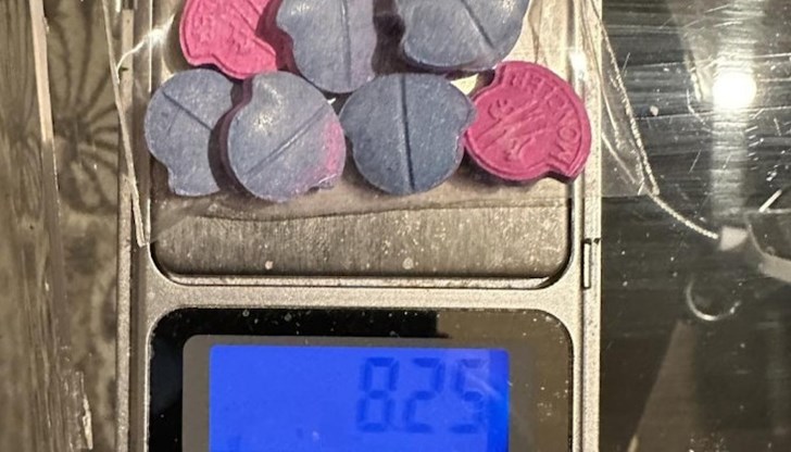 В хода на полицейските действия са проверени 295 души