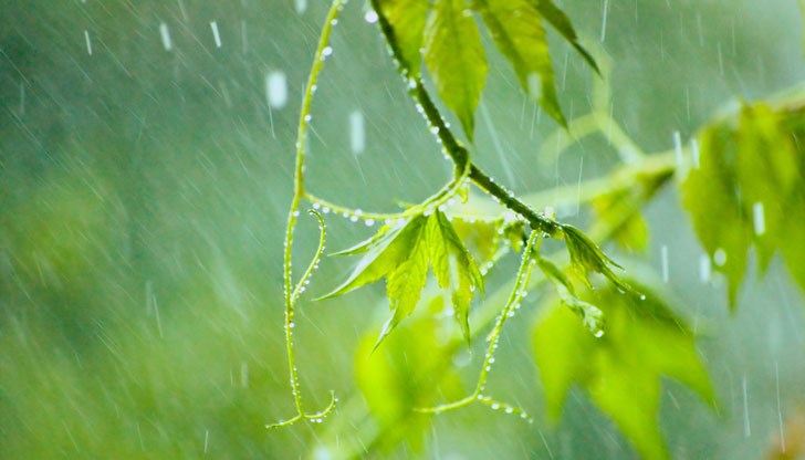 В Рило-родопската област ще паднат най-значителните валежи