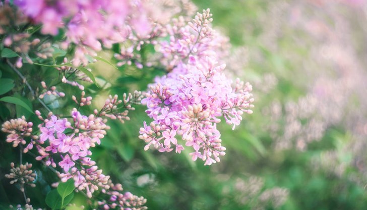 Очакват се продължителни превалявания, прогнозира климатологът Симеон Матев