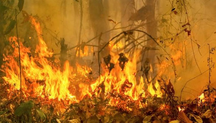 Пожарът е ликвидиран без щети Пожарът е ликвидиран без щети