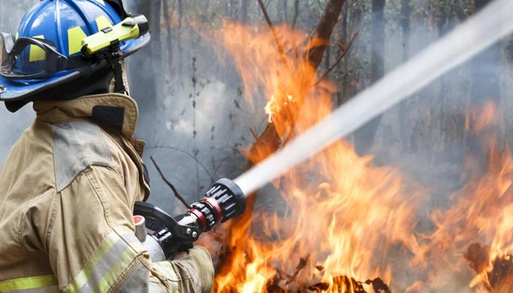 Огънят е пламнал в гора