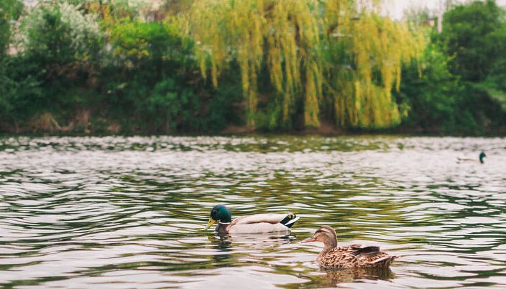 Три от общо 14-те водоема в областта са напълно източени