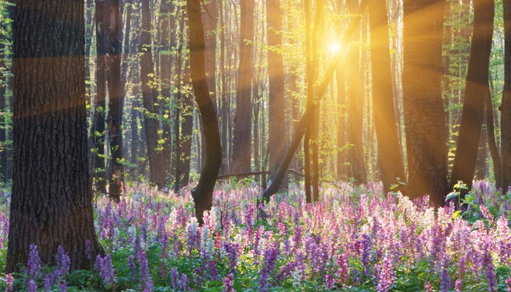 Обстановката ще е динамична