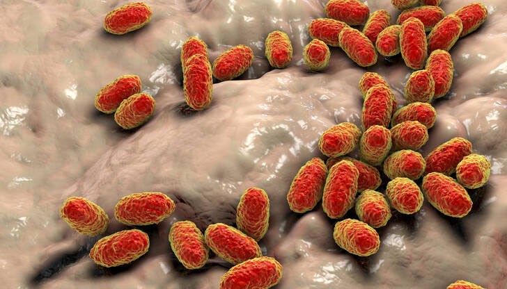 Задава ли се епидемия? Задава ли се епидемия?