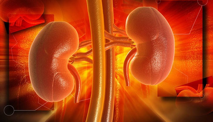 Това каза председателят на Асоциацията на пациентите с бъбречни заболявания