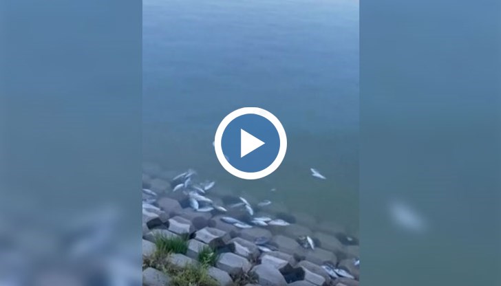 Каква е причината и има ли замърсяване на водата?