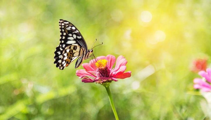 Очаква се период на осезаемо захлаждане за около 2-3 дни Очаква се период на осезаемо захлаждане за около 2-3 дни