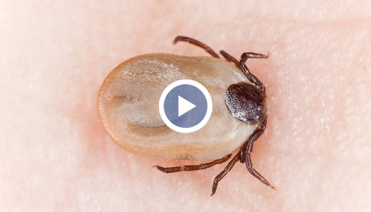 Съвети от д-р Христиана Бацелова