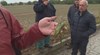 Градушката унищожи 100% от зърнената реколта в село Славовица