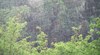 Пороен дъжд с гръмотевици се изсипва над Русе