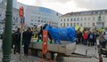 Млекопроизводители от над 15 държави протестират в Брюксел
