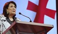 Грузинският президент наложи вето на спорния закон за чуждите агенти
