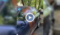 Кола осъмна залята с блажна боя в София