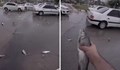 Необичаен дъжд: Живи риби валят над Иран