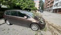 Дърво се стовари върху кола в София