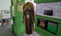 Палто от бенгалска котка показва русенка изложба на защитени видове