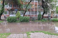 Наводнения и щети след проливен дъжд във Видинско
