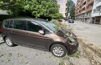 Дърво се стовари върху кола в София