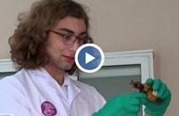 Български ученик спечели златни медали от най-престижните олимпиади по химия в света