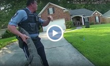 Полицаи „задържаха” алигатор, нахлул в къща в САЩ