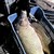 Хванаха рибар от Бургас със 120 килограма незаконен шаран