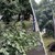 Силна буря събори дървета в Пазарджик