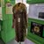 Палто от бенгалска котка показва русенка изложба на защитени видове
