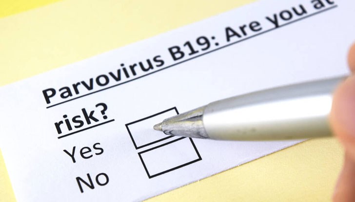 Случай на парвовирус В19 е регистриран в Бургас