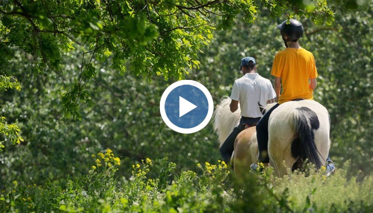Конна езда, разходка в планината и нощувка във вила