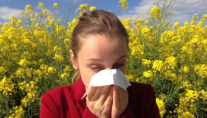 Заради необичайно високите температури се очаква повишаване на поленовата концентрация