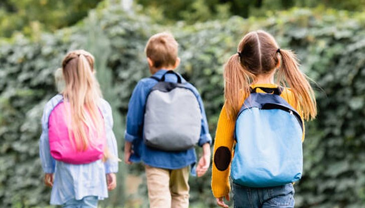 Анализ на демографските процеси в областта