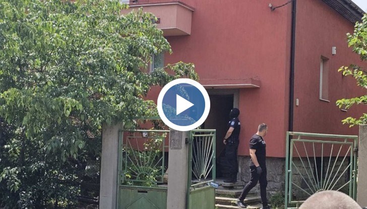 В оранжерията се отглеждат 2700 стръка марихуана