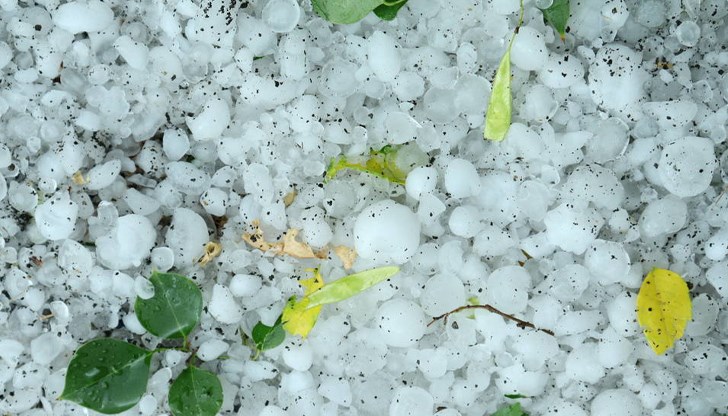 Община Долна Митрополия се възстановява след водната стихия Община Долна Митрополия се възстановява след водната стихия