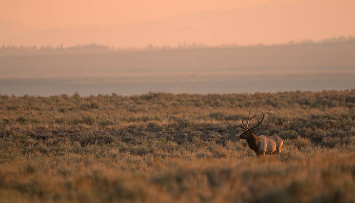 Сектор "Криминална полиция" и разследващ полицай в РУ - Кърджали работят по изясняване на случая