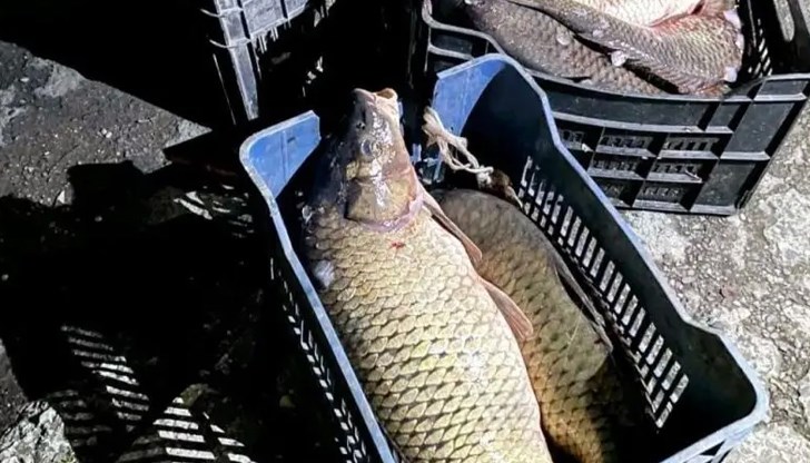 Риболовът по това време на годината е забранен Риболовът по това време на годината е забранен