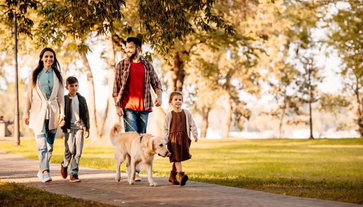Североизточният вятър ще отслабне Североизточният вятър ще отслабне