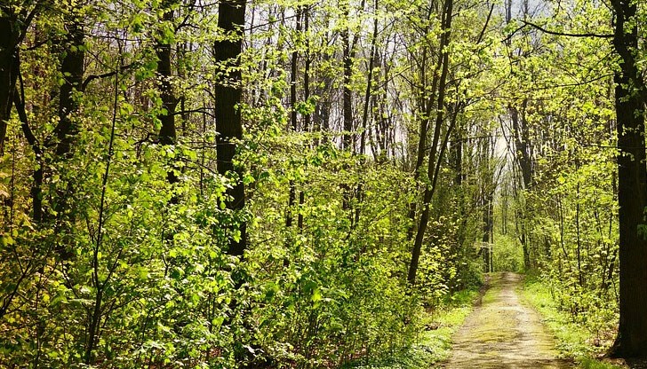 Максималните температури ще стигнат до 30 градуса Максималните температури ще стигнат до 30 градуса