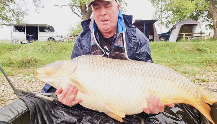 Това е най-големият документиран шаран в България, коментират запалени рибари