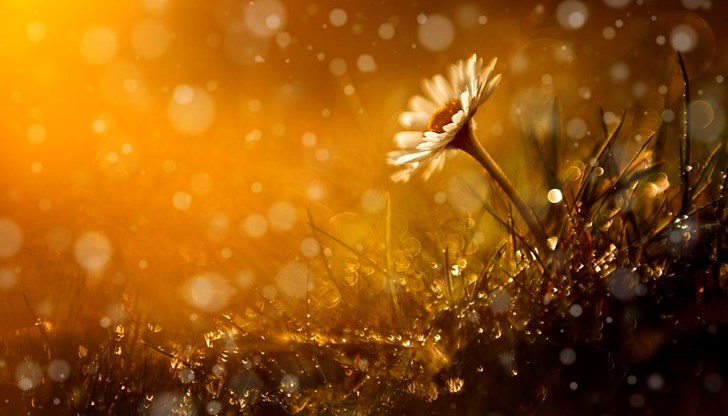 Максималните температури ще са предимно между 21° и 26° Максималните температури ще са предимно между 21° и 26°