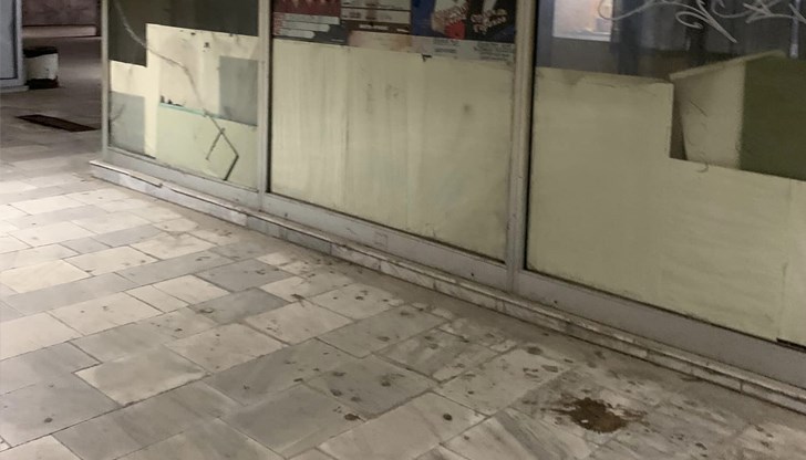 Възможно ли е да се подобри хигиената, ако не заради нас, то поне заради гостите на града!?