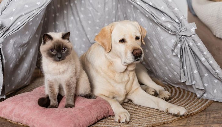 Събитието е част от национална инициатива