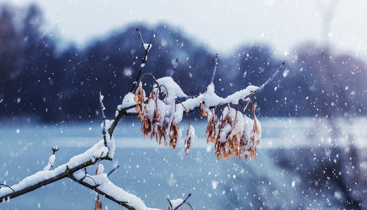 Такива застудявания се случват много често около 24 май Такива застудявания се случват много често около 24 май