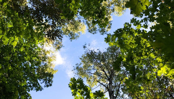 Чувствително повишение на температурите очакваме към 4-6 юни Чувствително повишение на температурите очакваме към 4-6 юни