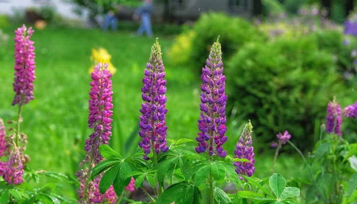 Дневните температури ще се понижат Дневните температури ще се понижат