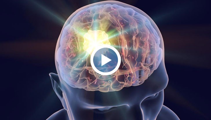 За целта е създадена специфична база данни, наречена MUSTARD