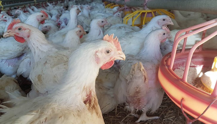 Проекти за напояване и доразвиване на ферми са сред актуалните инвестиционни намерения