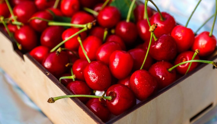 Превозите от полето до магазина или до завода за преработка трябва да са предварително декларирани пред данъчните