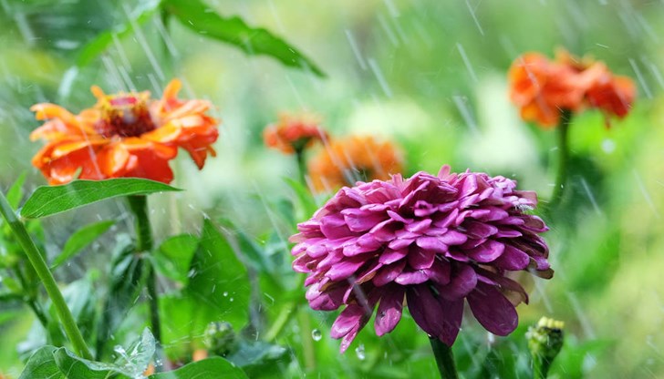 Очакват се краткотрайни валежи от дъжд с гръмотевици Очакват се краткотрайни валежи от дъжд с гръмотевици