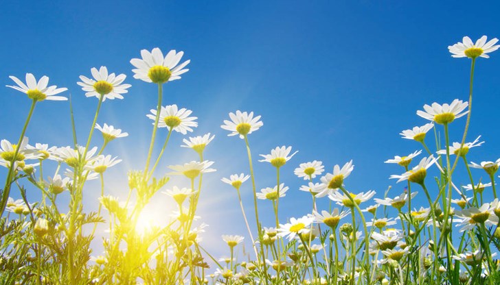 Максималните температури скачат до 28 градуса Максималните температури скачат до 28 градуса