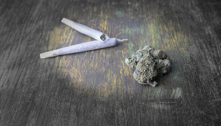 Полицаи са открили марихуана при обиск и проверка в дома му Полицаи са открили марихуана при обиск и проверка в дома му